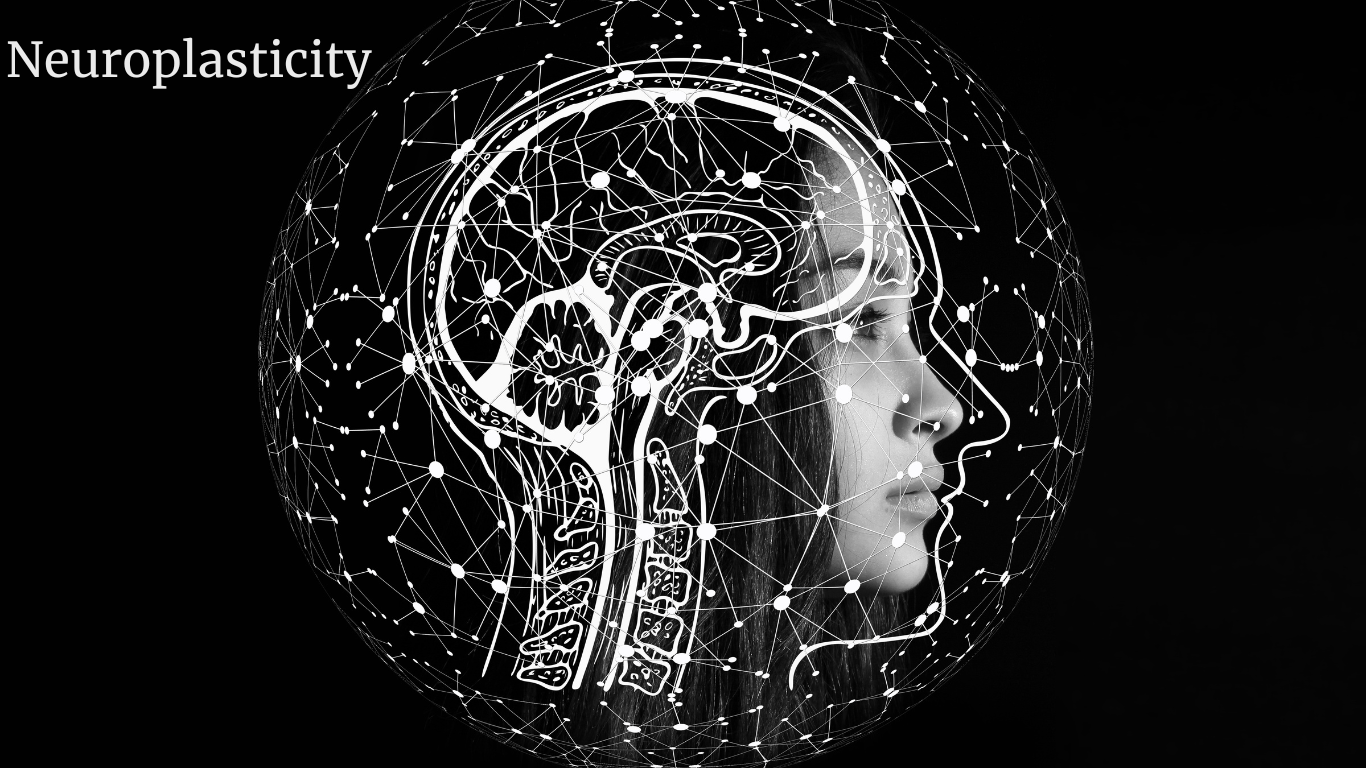 Harnessing Neuroplasticity: The Science Behind Recovery in